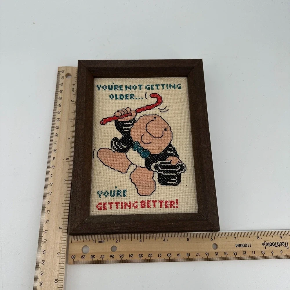 Vintage‎ Cross Stitch Ziggy Frame Wall Art Humor Birthday Gift Zigurat